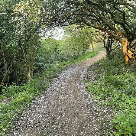 Sandy Collection * 파일리